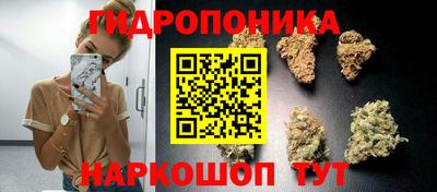гидра Будённовск