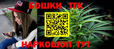 гидра Будённовск