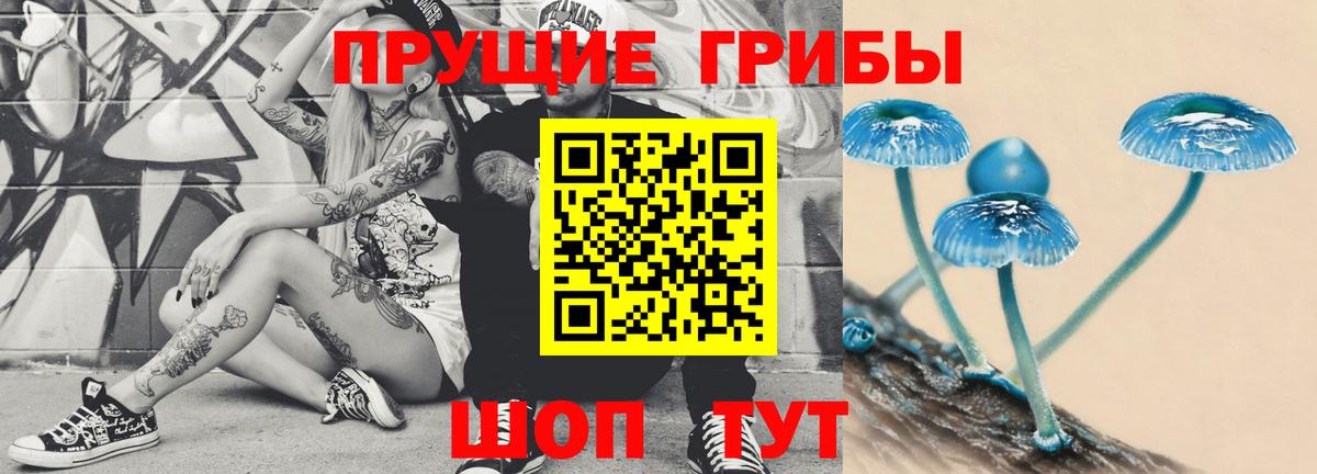 Невинномысск  Галлюциногенные грибы Magic Shrooms  Вход с VPN 